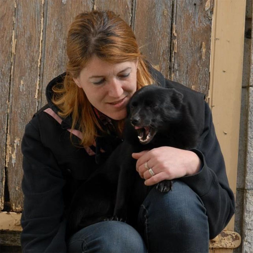 Élevage et éducation canine près d’Échillais